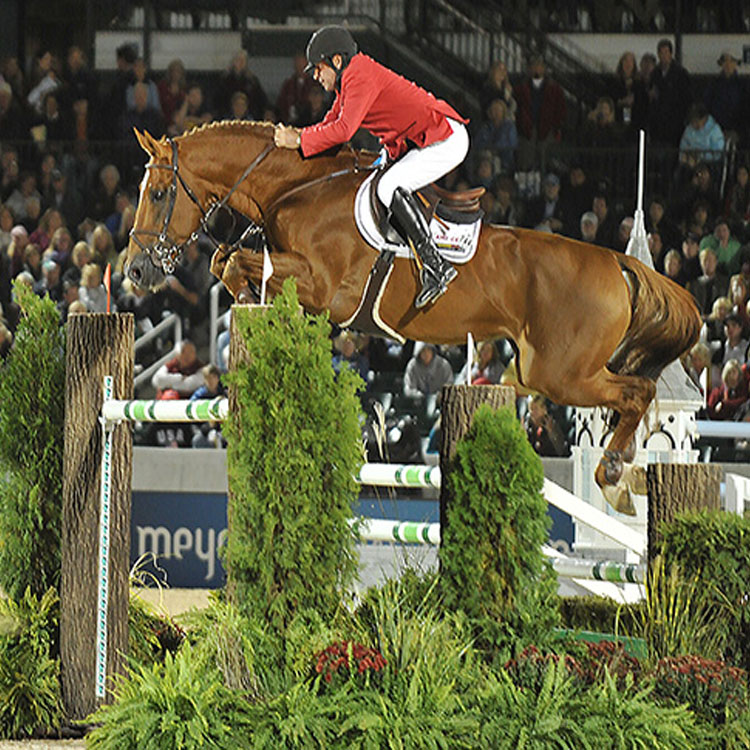 Philippe Le Jeune & Vigo d`Arsouilles (BWP 1998, Nabab de Reve x Fleuri du Manoir)  in the World Championships in Lexington 2010